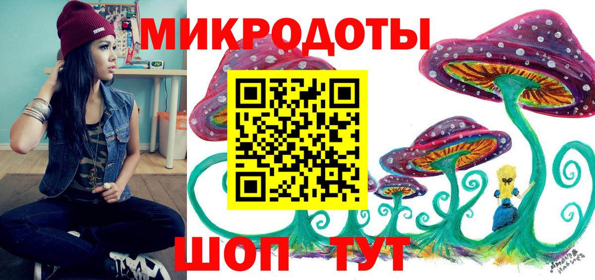 Псилоцибиновые грибы Psilocybine cubensis Лениногорск