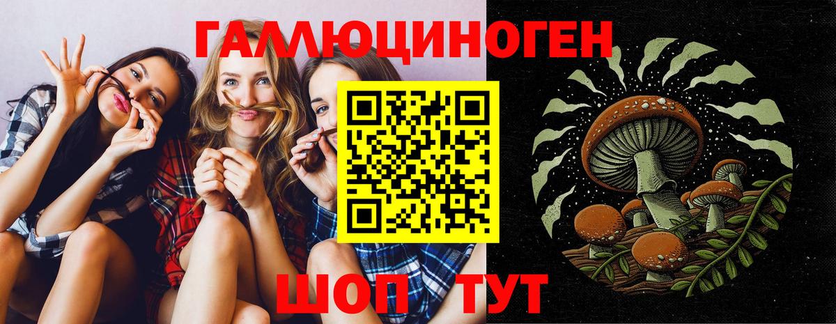 Лениногорск  Галлюциногенные грибы Psilocybe  Вход с VPN 